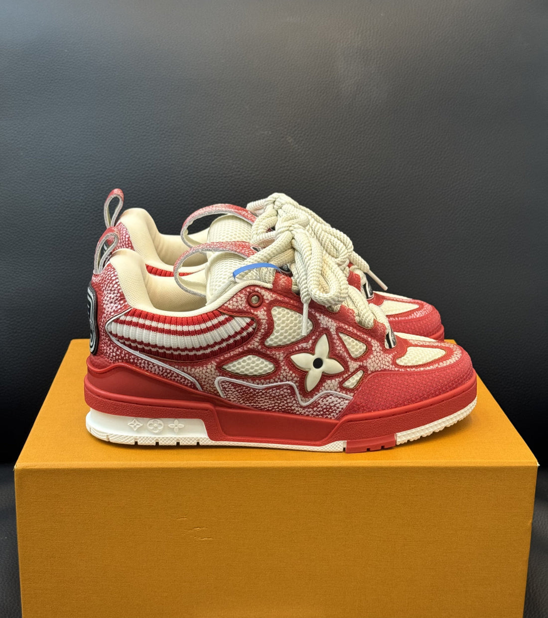 Lv skate rouge 10/10