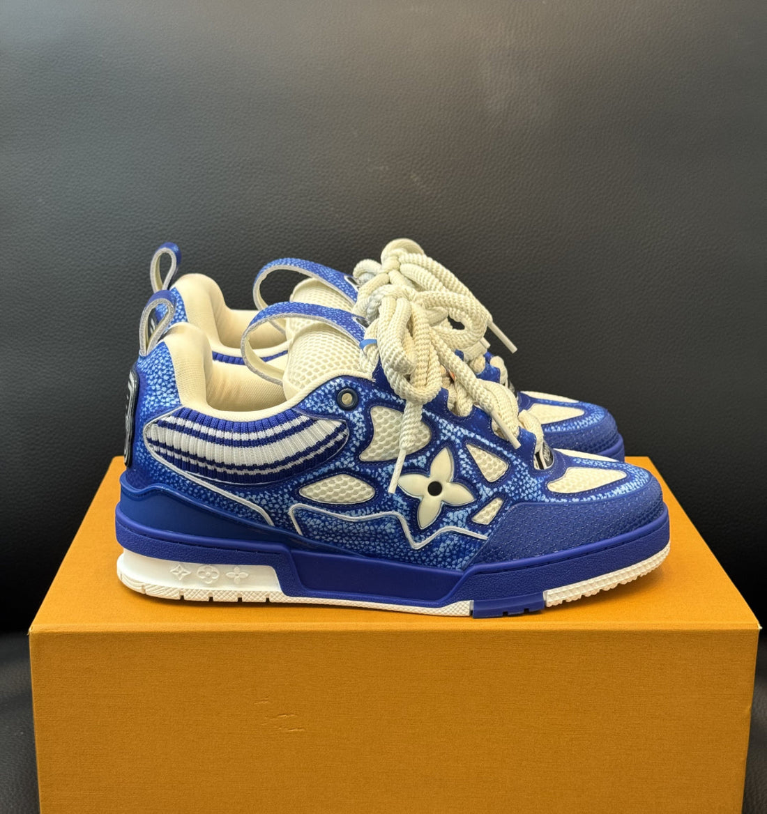 Lv skate bleu 2k25  10/10