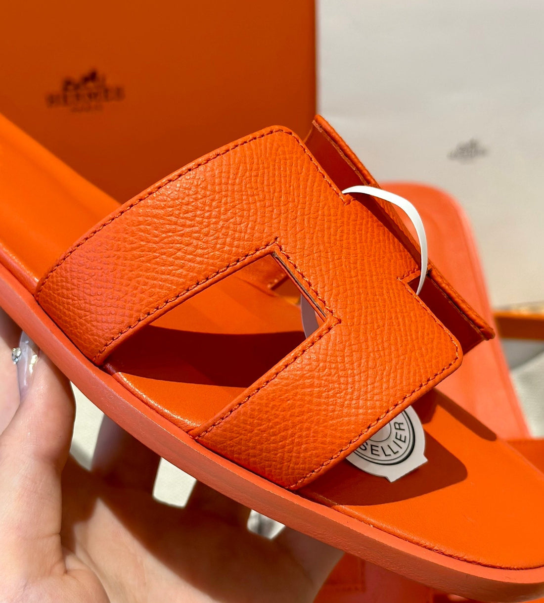 Claquette Hermès Oran
