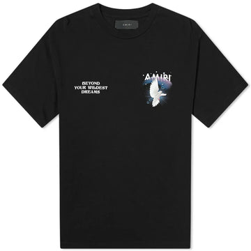 t-shirt Amiri