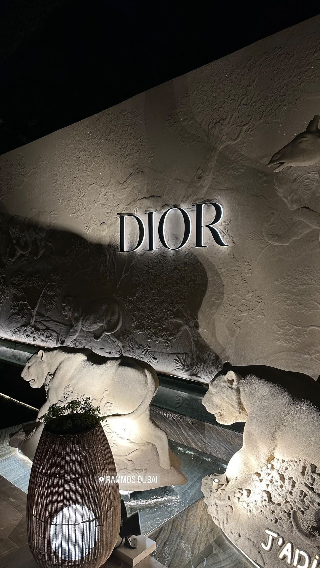 Univers Christian Dior