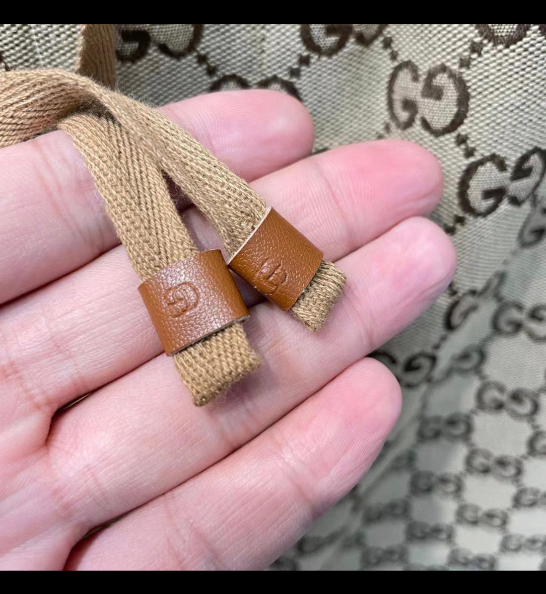 Short GUCCI